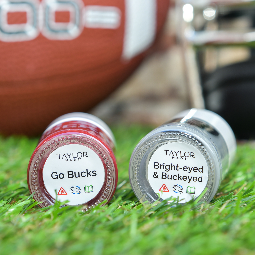 Ohio State Buckeyes Dosenkühler - Offizielles Fan-Zubehör, 340 Ml, 2 Farben, Zusammenklappbar